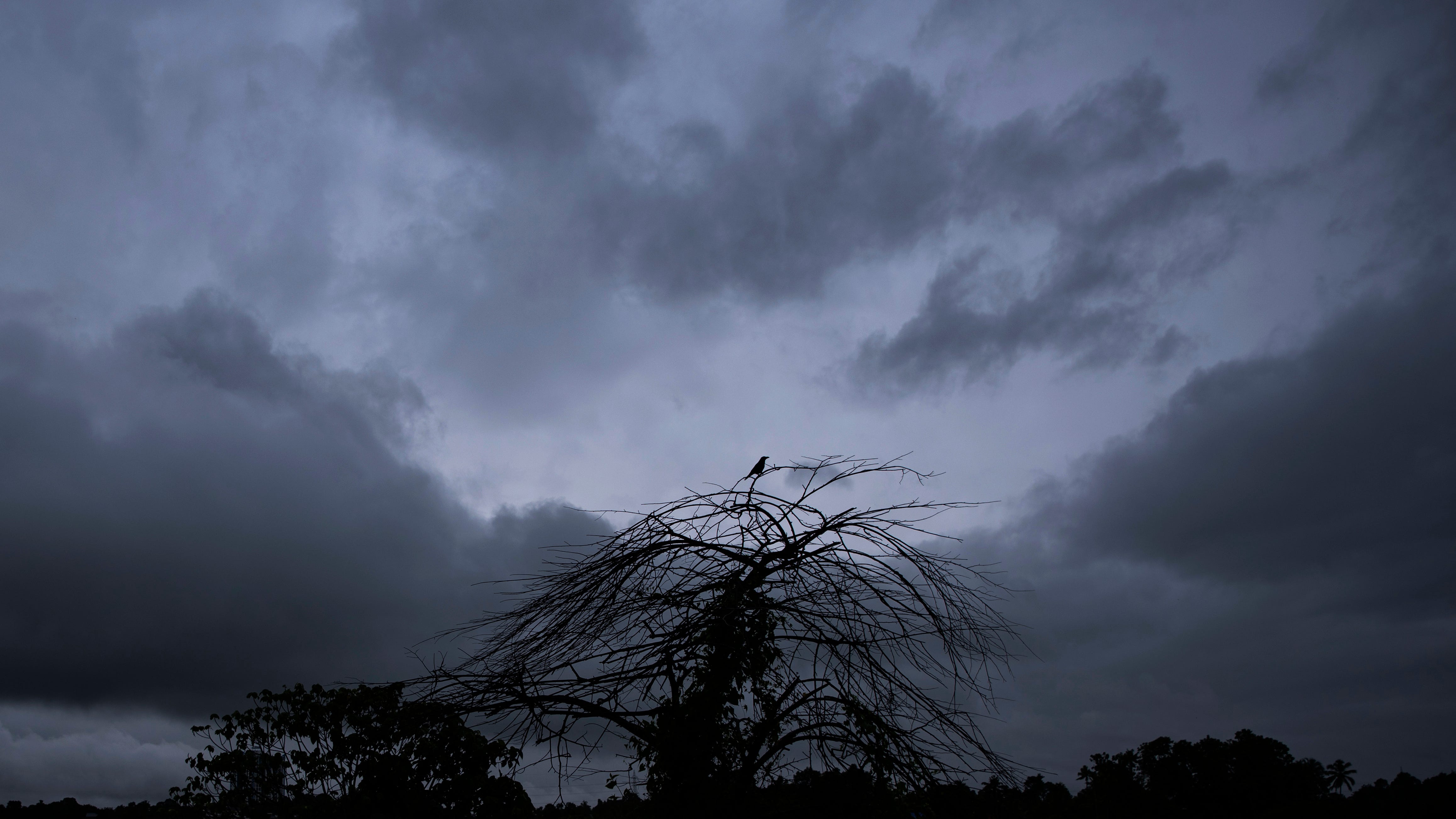 Heavy rains, landslides leave 18 dead in south India