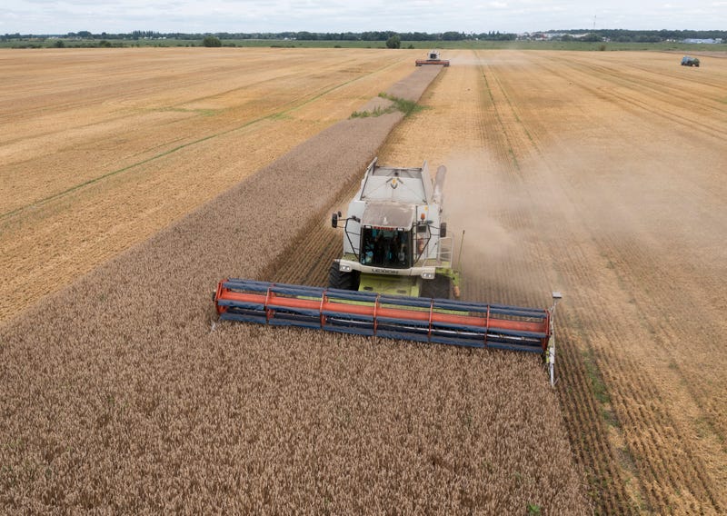 Russia Ukraine War Grain Deal