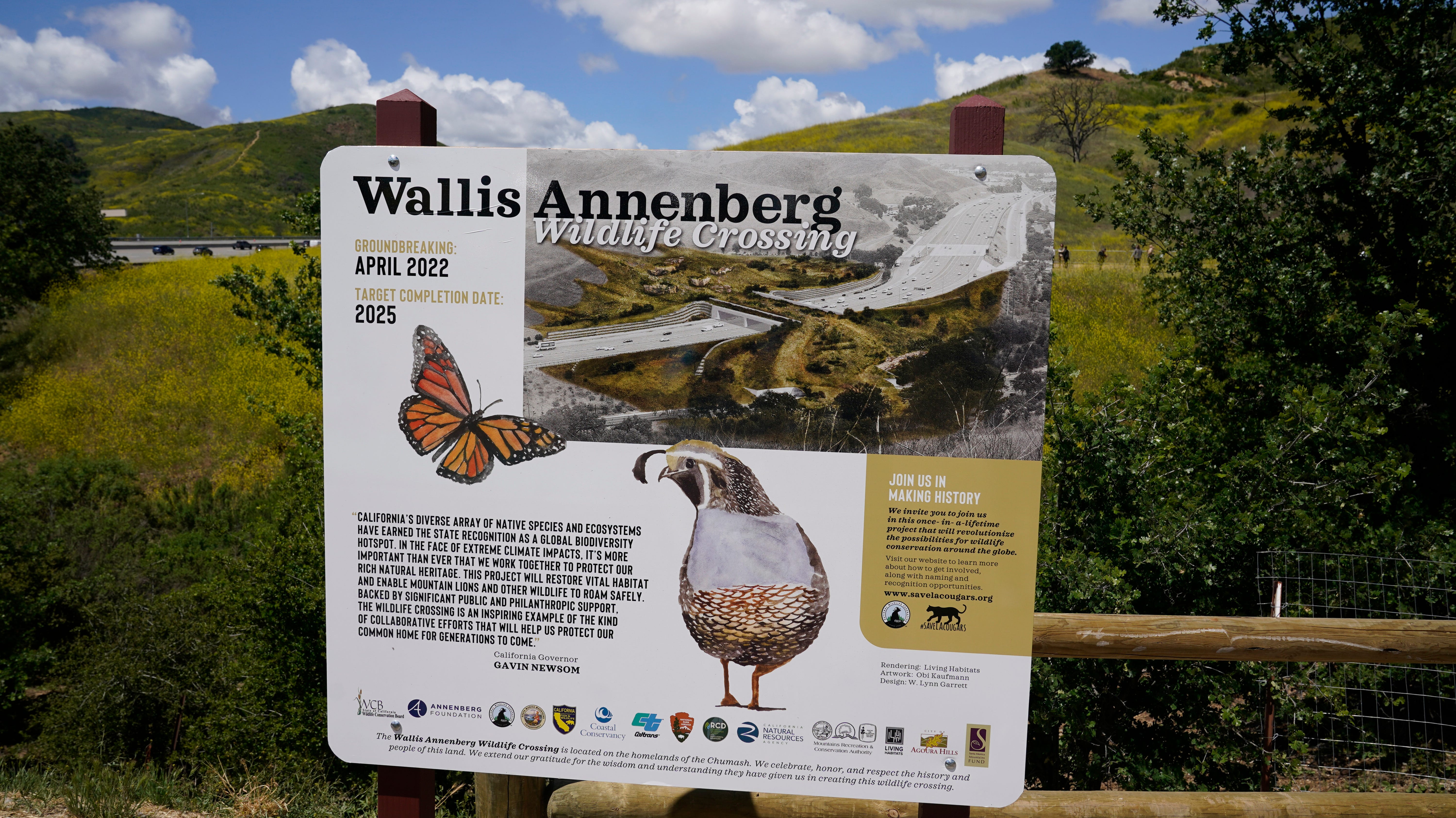 California breaks ground on largest urban wildlife crossing