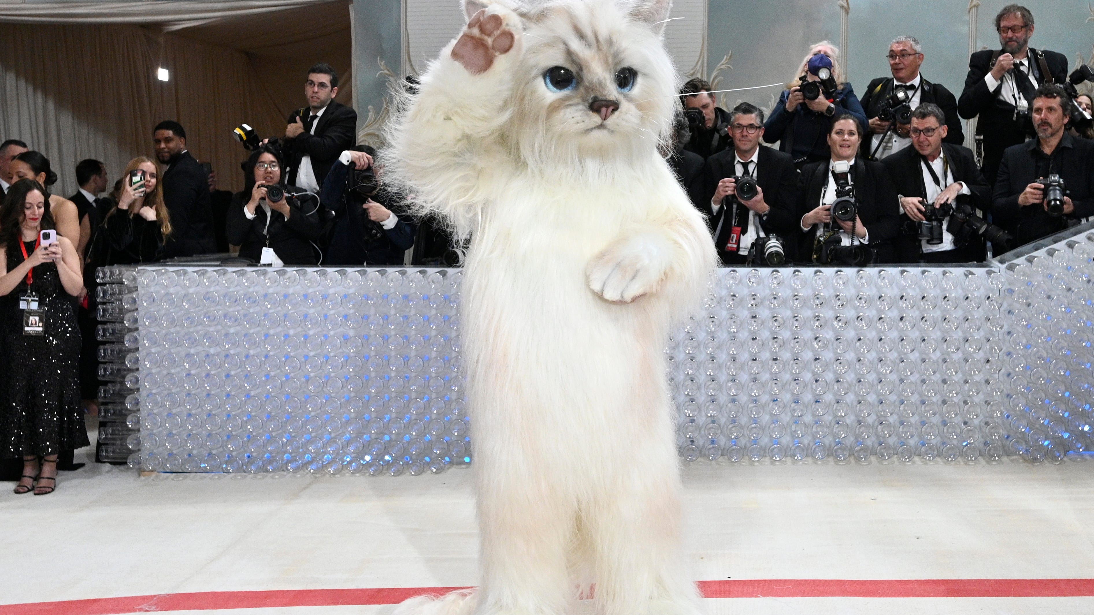 Inside the Met Gala: A furry feline star, a tardy Cinderella