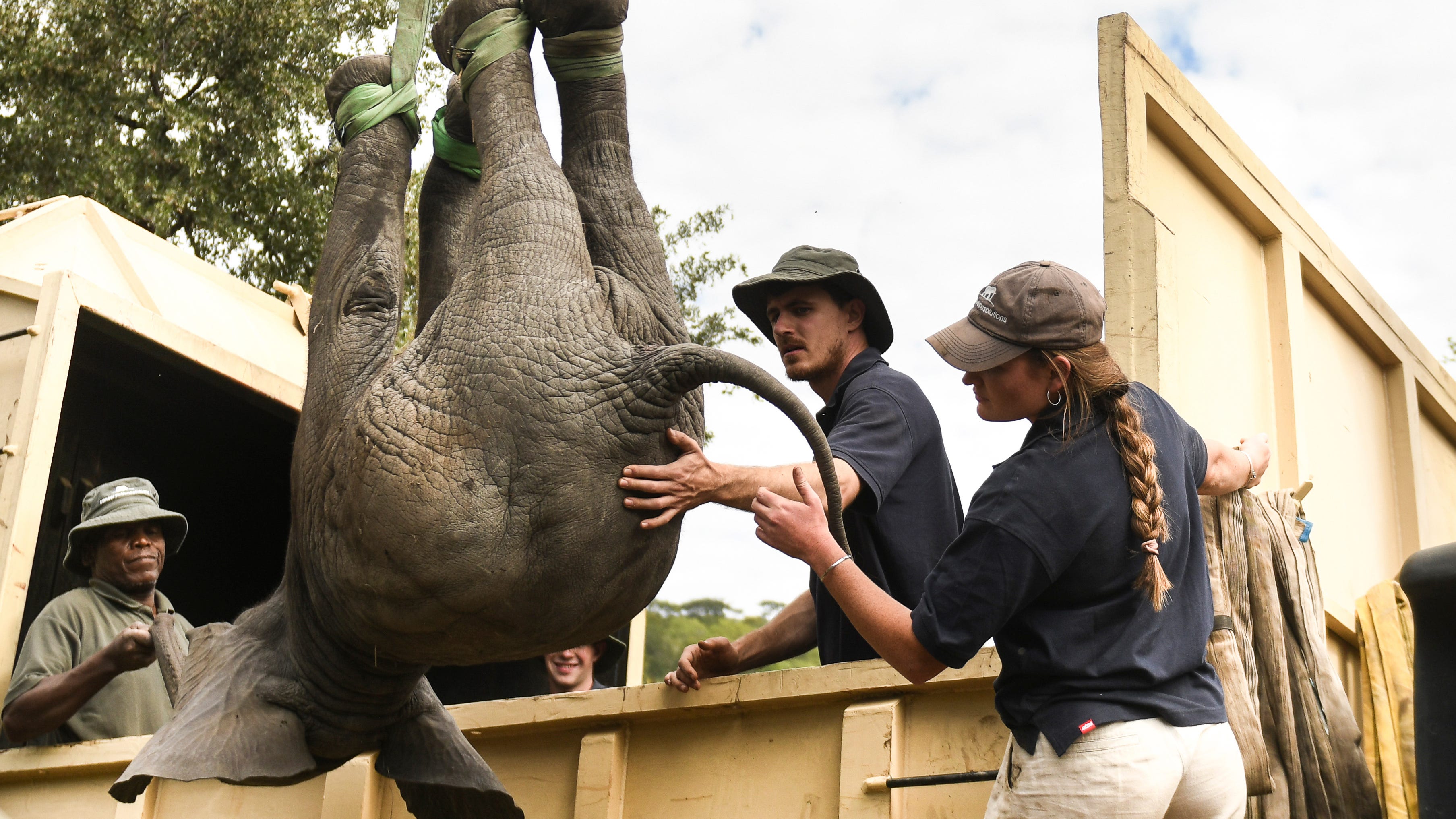 Zimbabwe moves 2,500 wild animals due to climate change