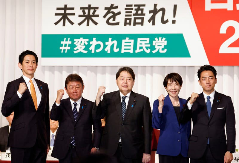 Japan Politics