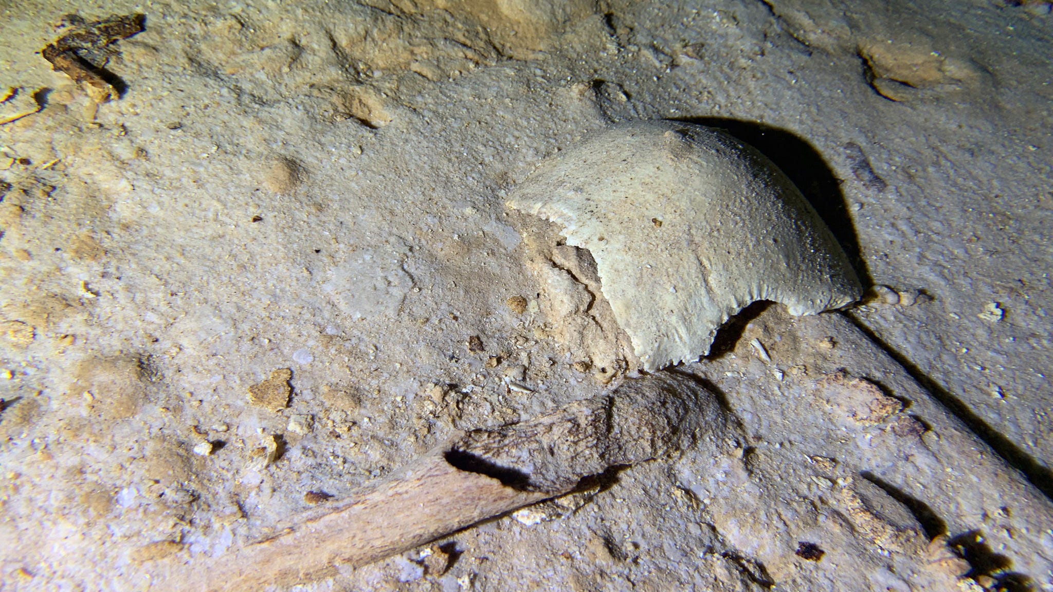 Ancient skeleton found in Mexico cave threatened by train