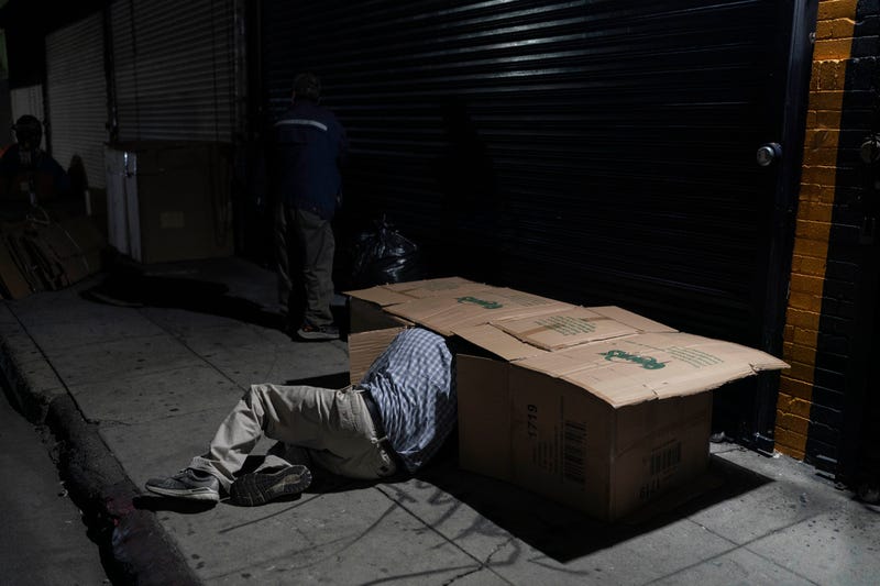 US Homeless Count