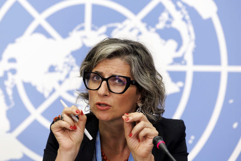 Palestinian Investigator Sanctions