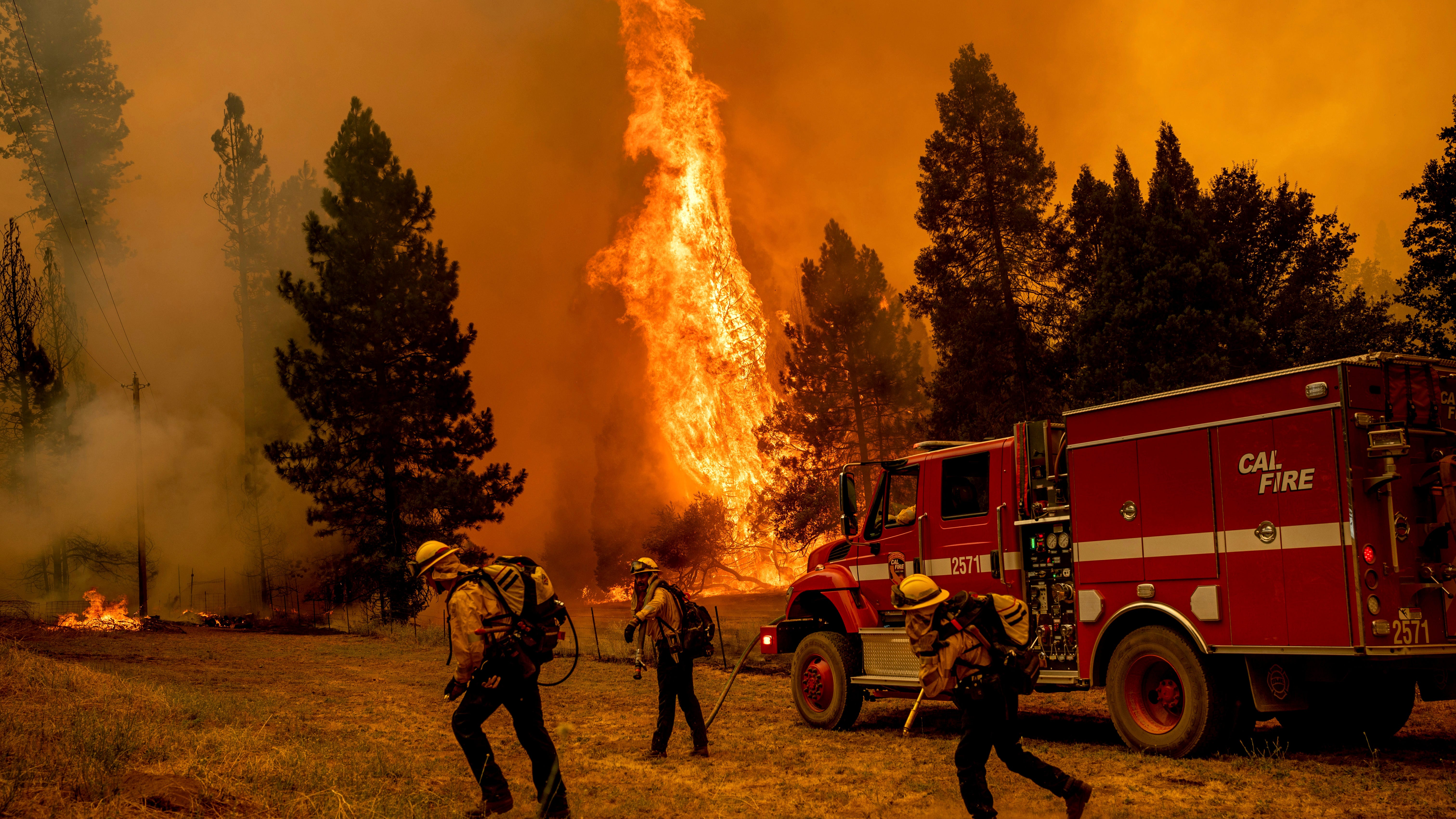 California forest fire burns out of control near Yosemite