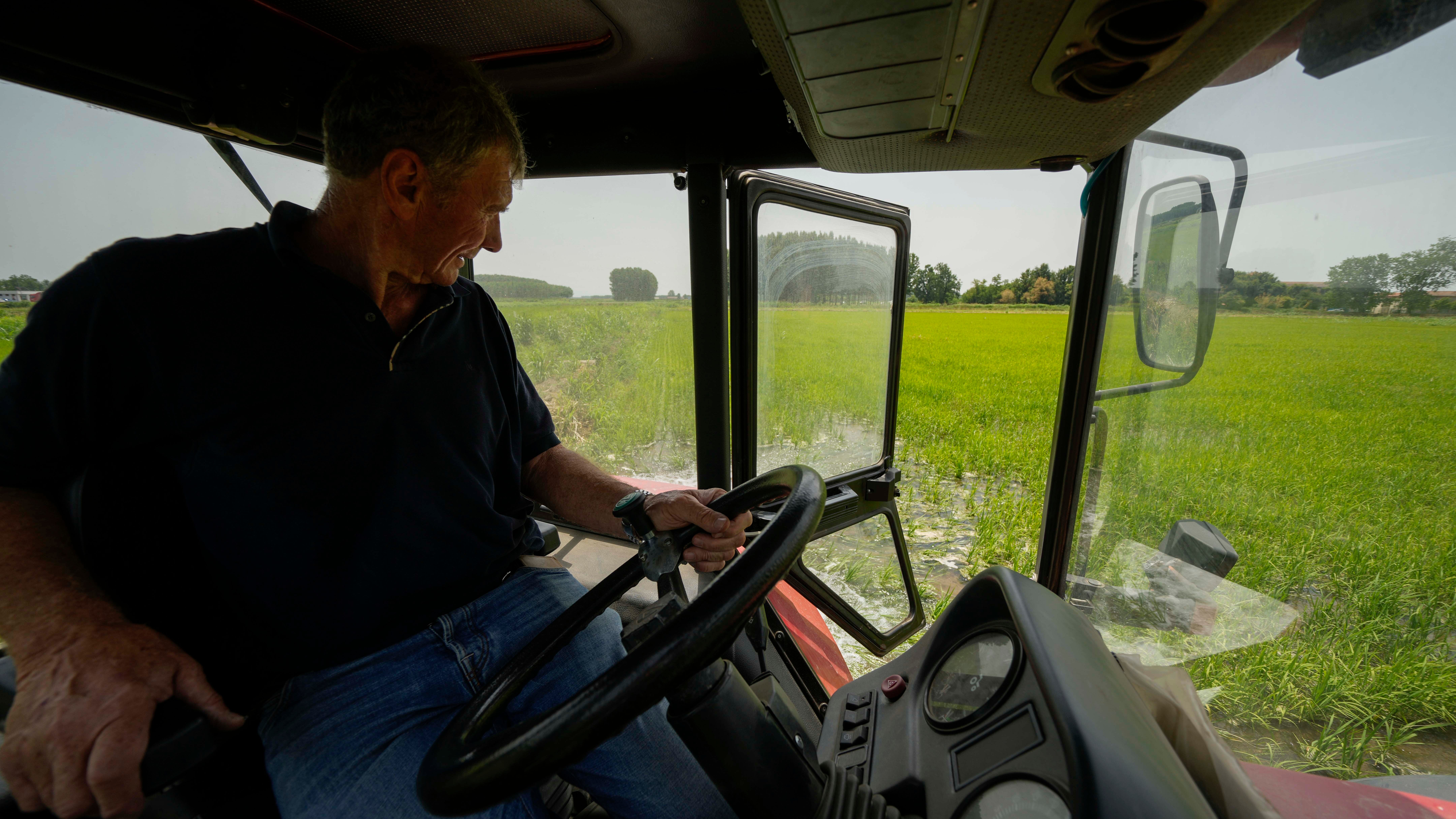 Rice fields dry up as Italy's drought lingers on