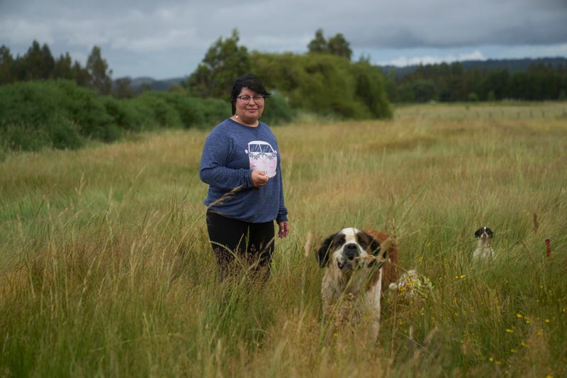 CHILE-ELECCIONES-MAPUCHES