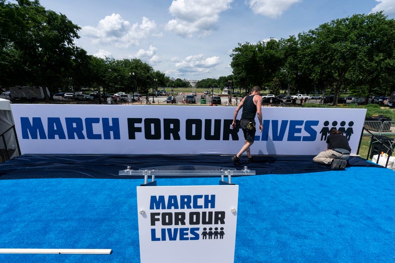 Gun Control Rally