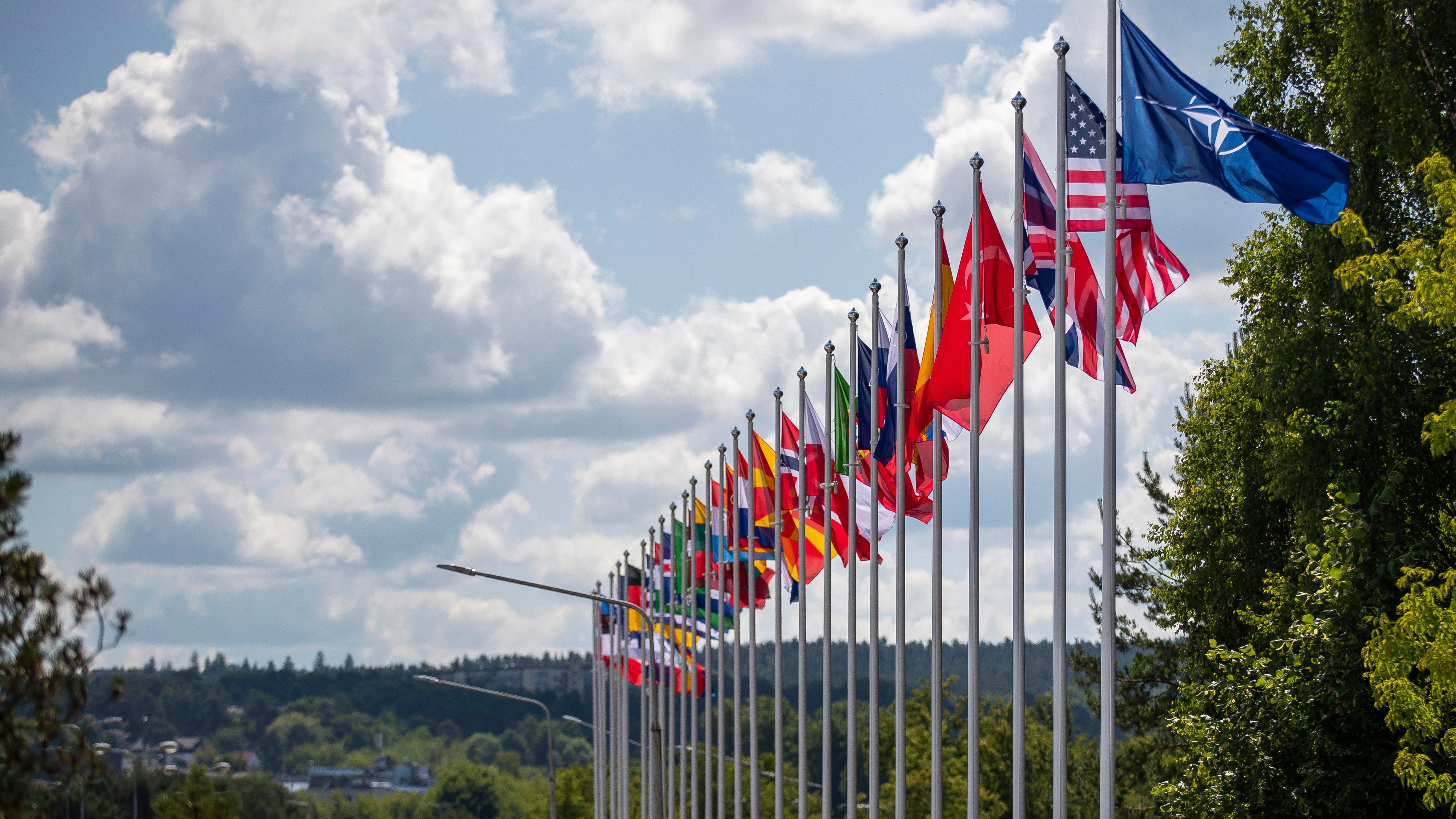 NATO unity will be tested at upcoming summit. Ukraine's possible entry may be the biggest challenge