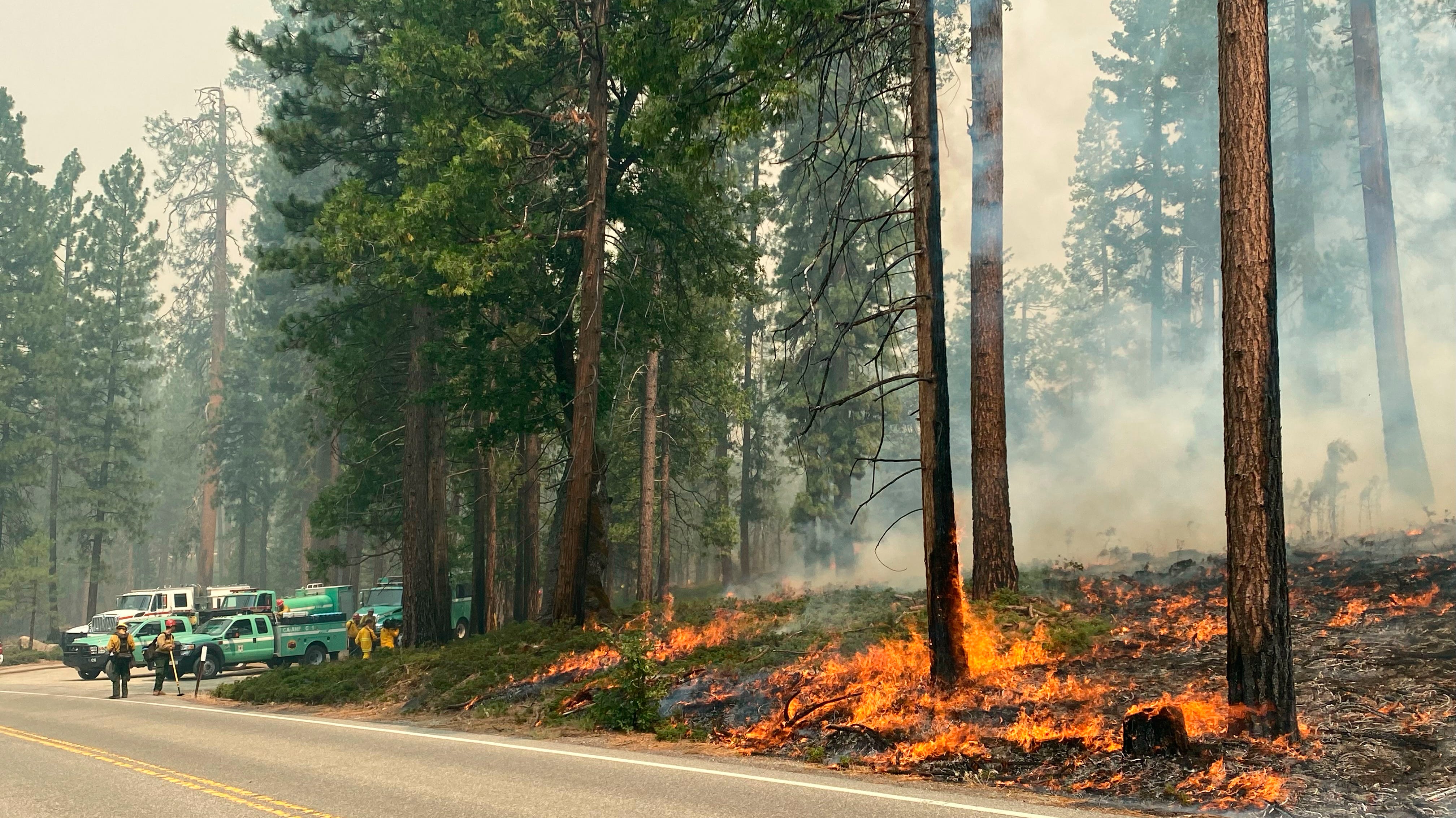 California firefighters gain against Yosemite wildfire