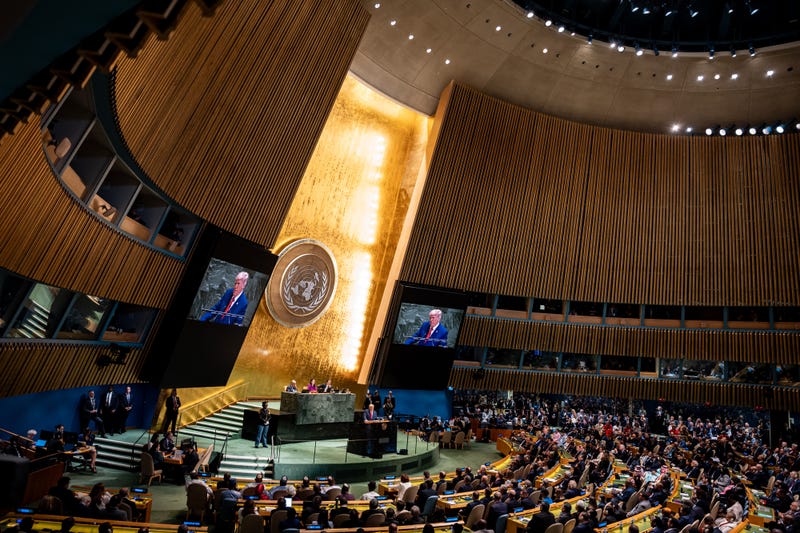 UN General Assembly