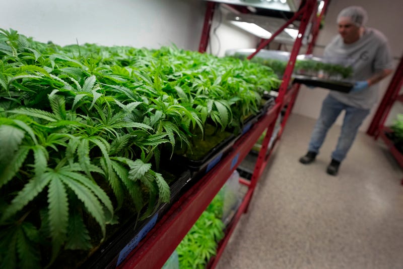 Missouri Marijuana
