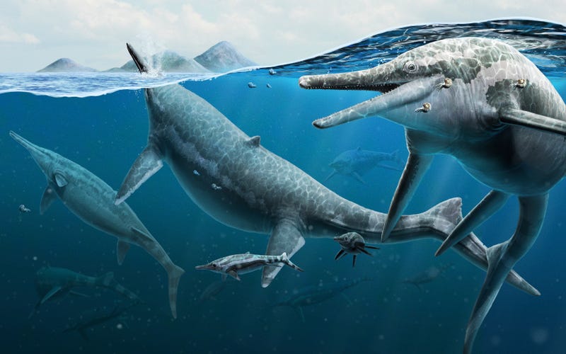 Fossil Reptiles