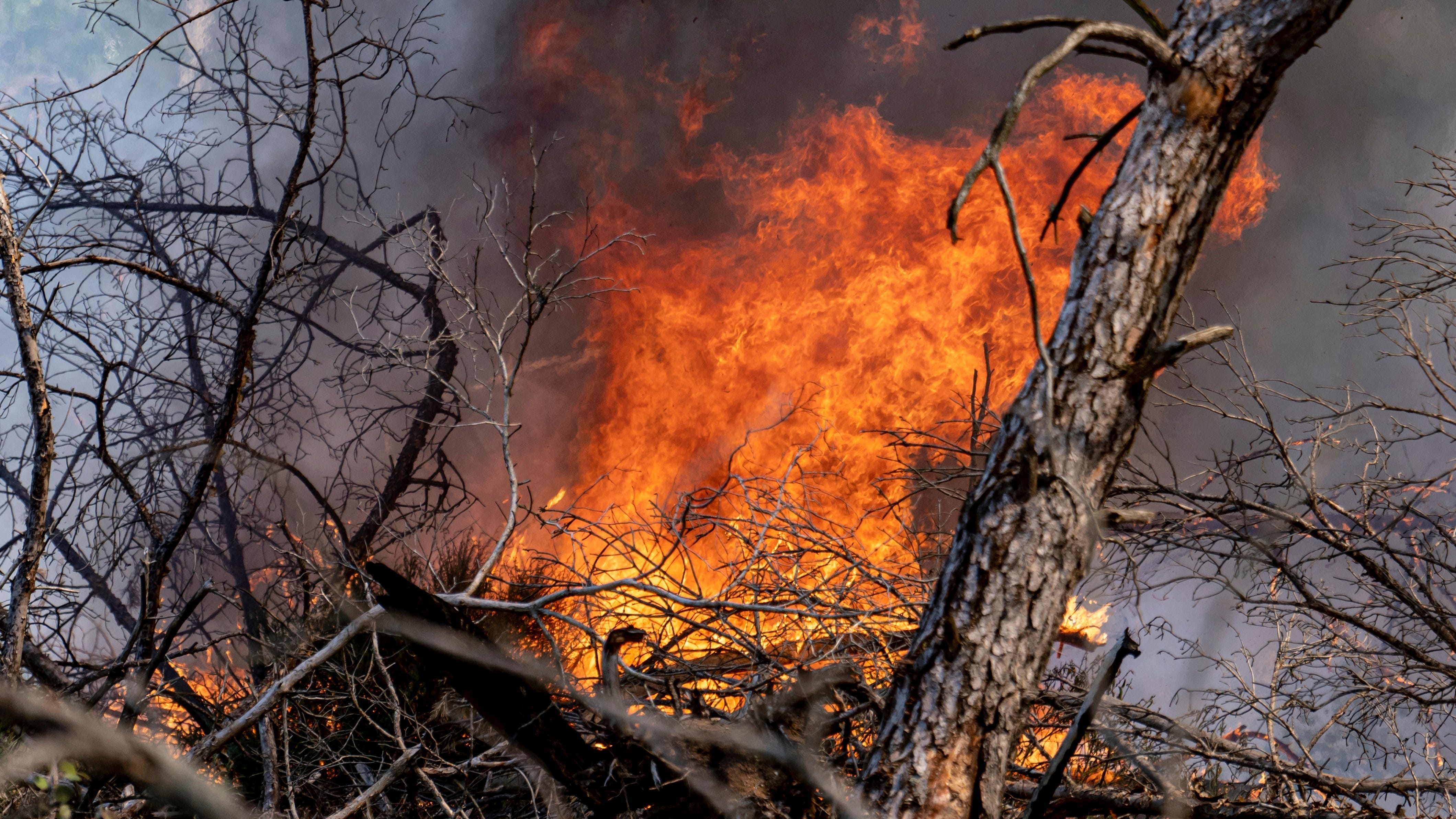Wildfire on German military training site contaminated with ammunition