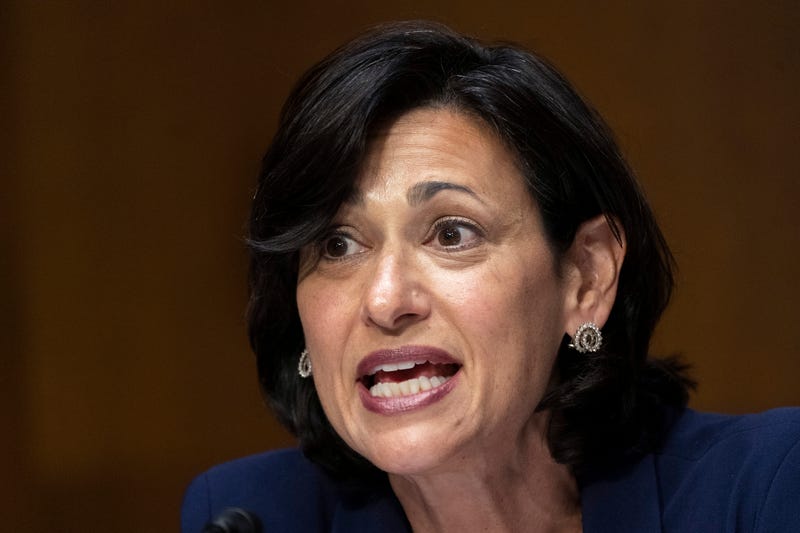 CDC Director