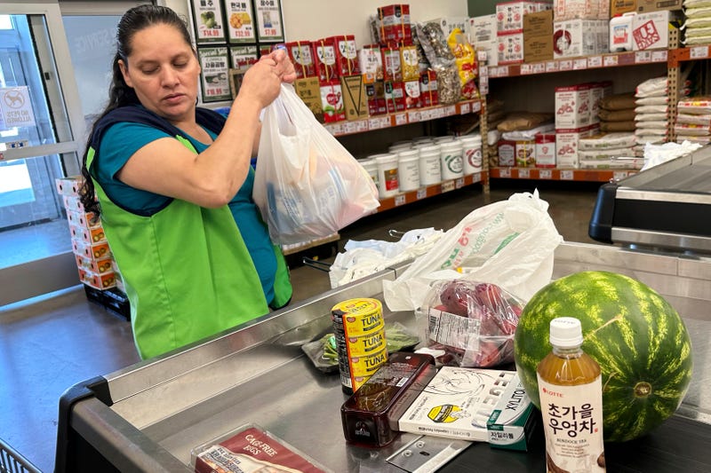 Employment, Job Opportunity, Inflation, Trump Tariffs, Grocery Shopping