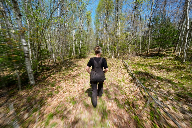 BLAIR WITCH PROJECT MAINE