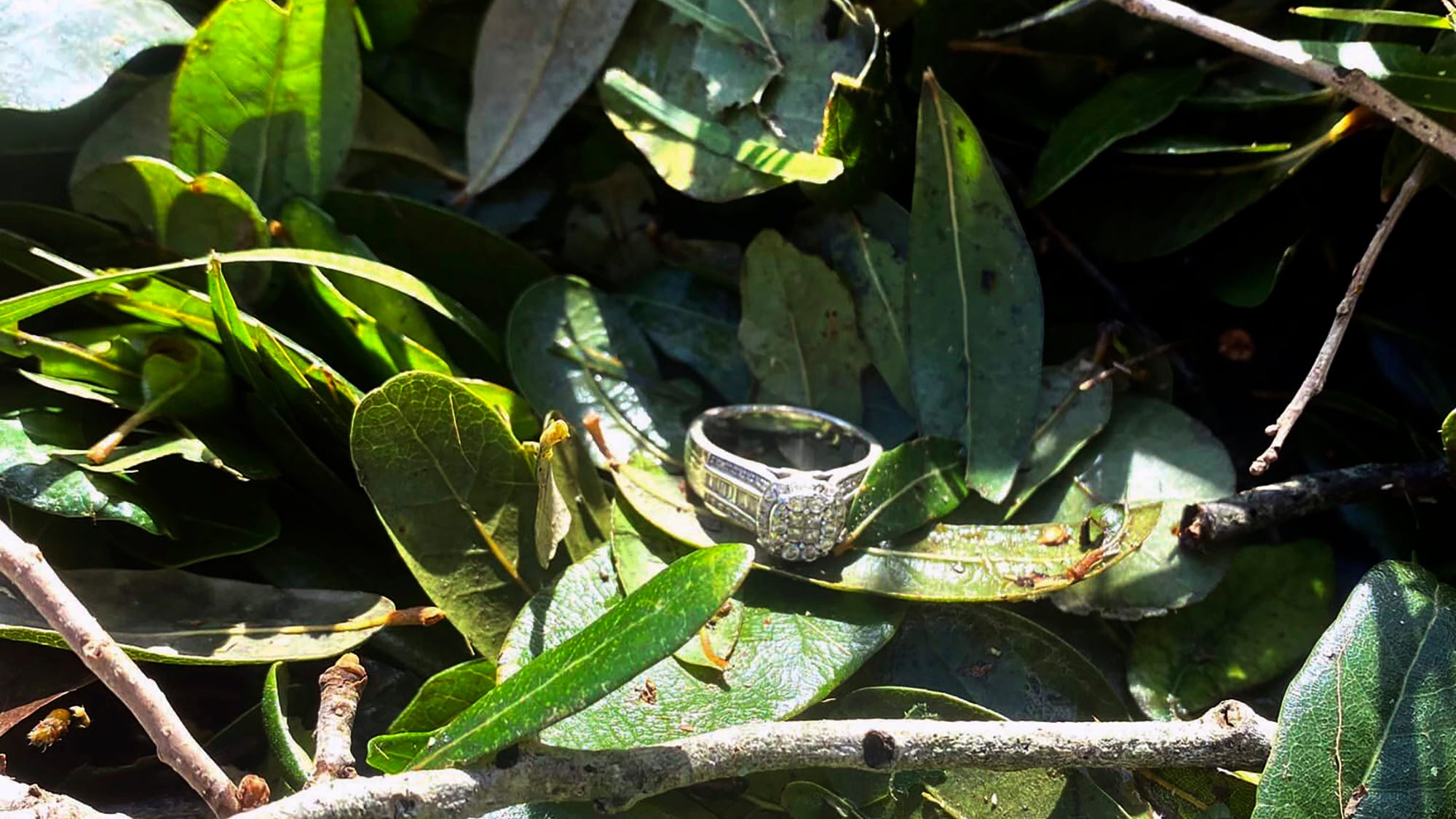 Lost wedding ring found in brush pile after Hurricane Ian