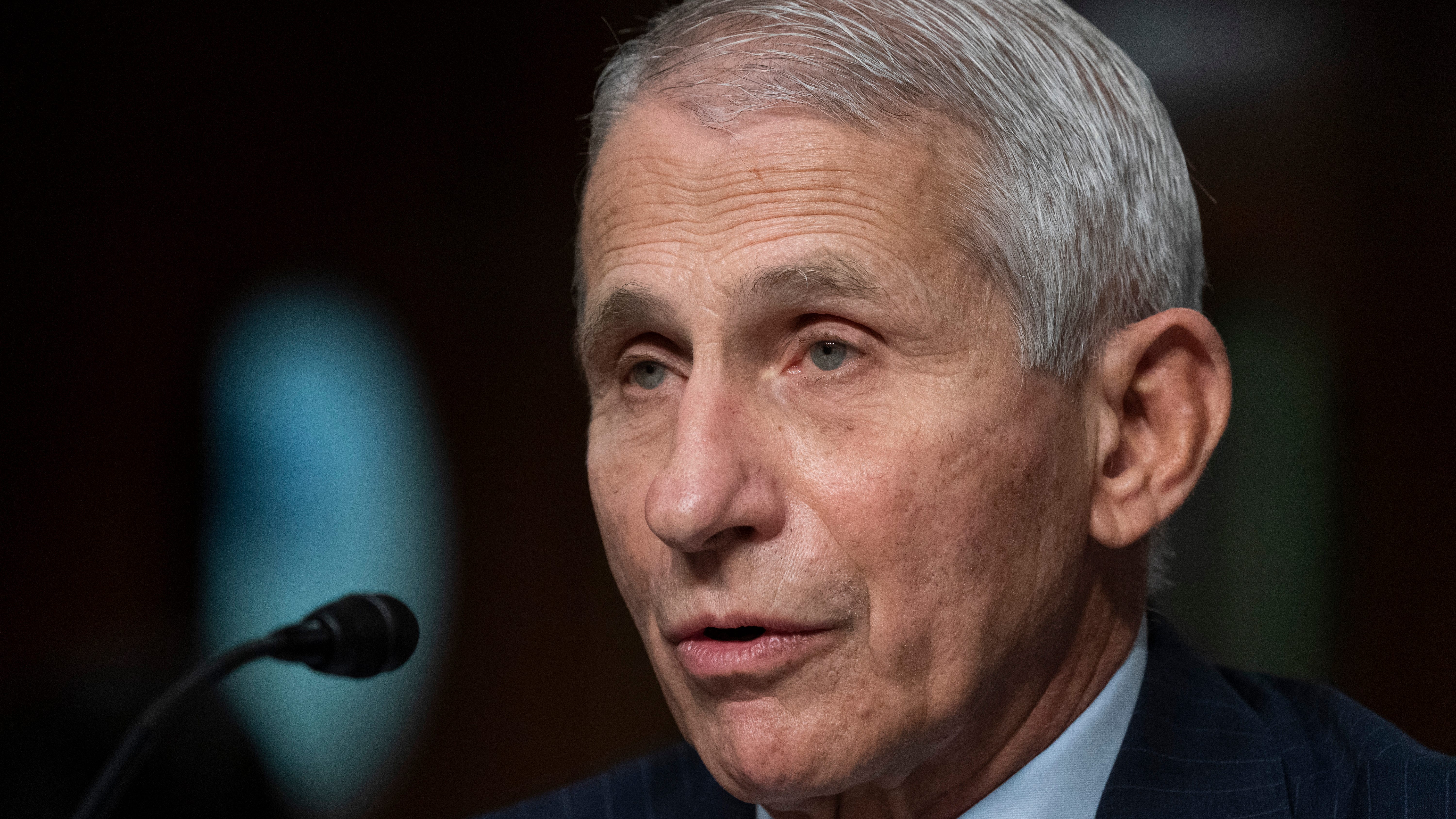 Fauci to step down after decades as top US infection expert