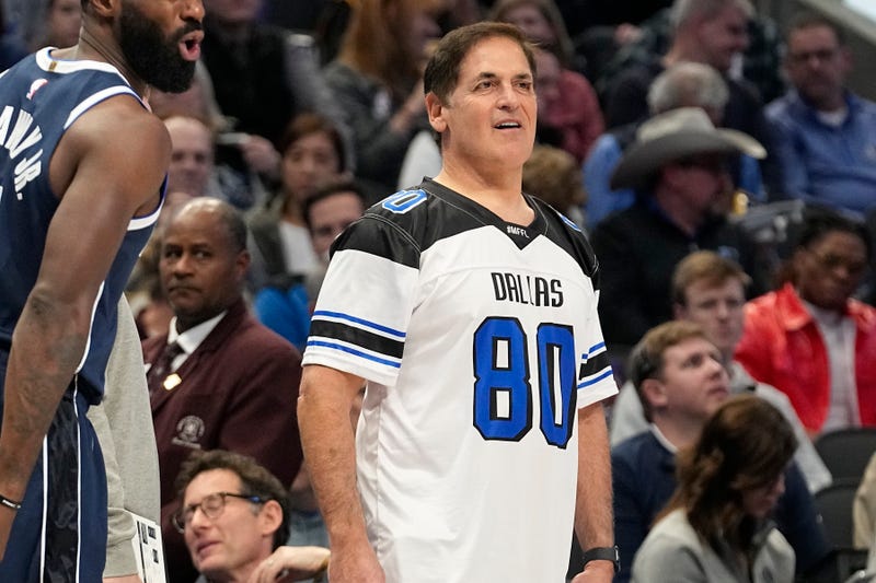 Mavericks Ownership