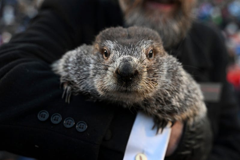 APTOPIX Groundhog Day