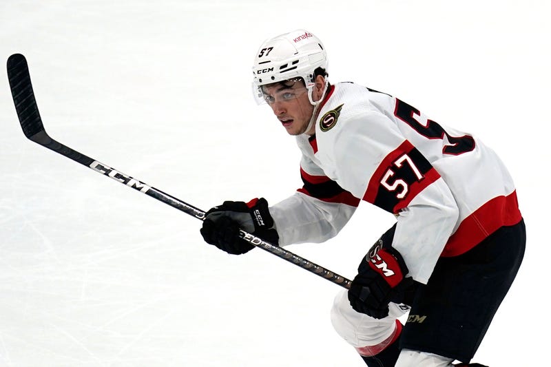Senators Pinto Gambling Hockey