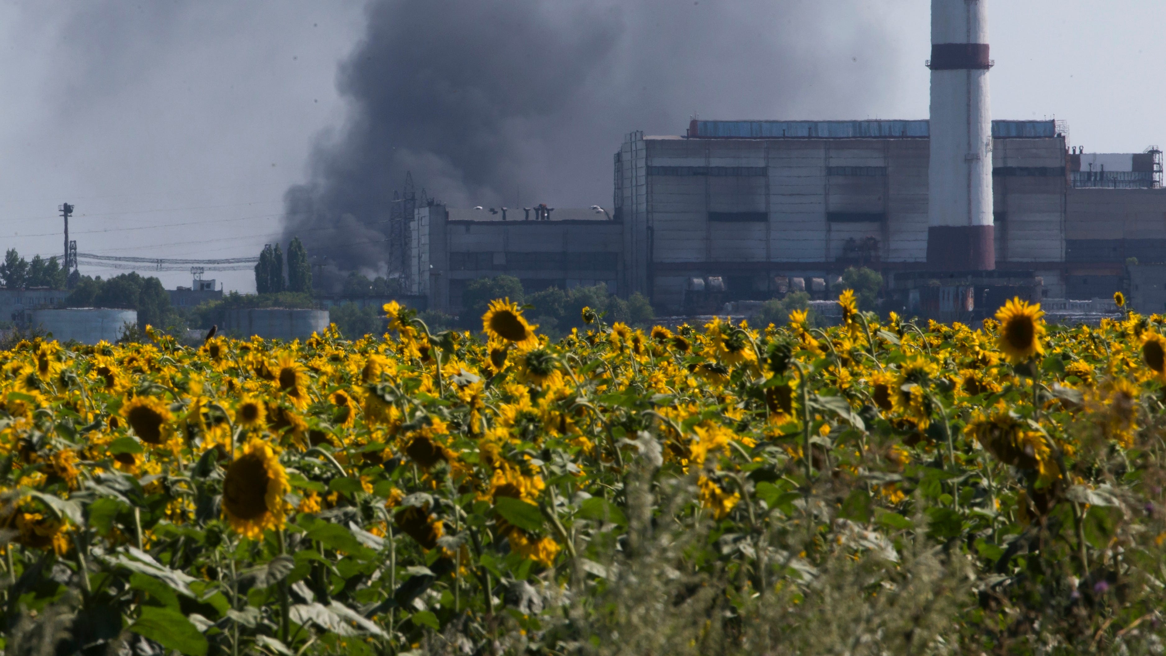 Food prices soar to record levels on Ukraine war disruptions