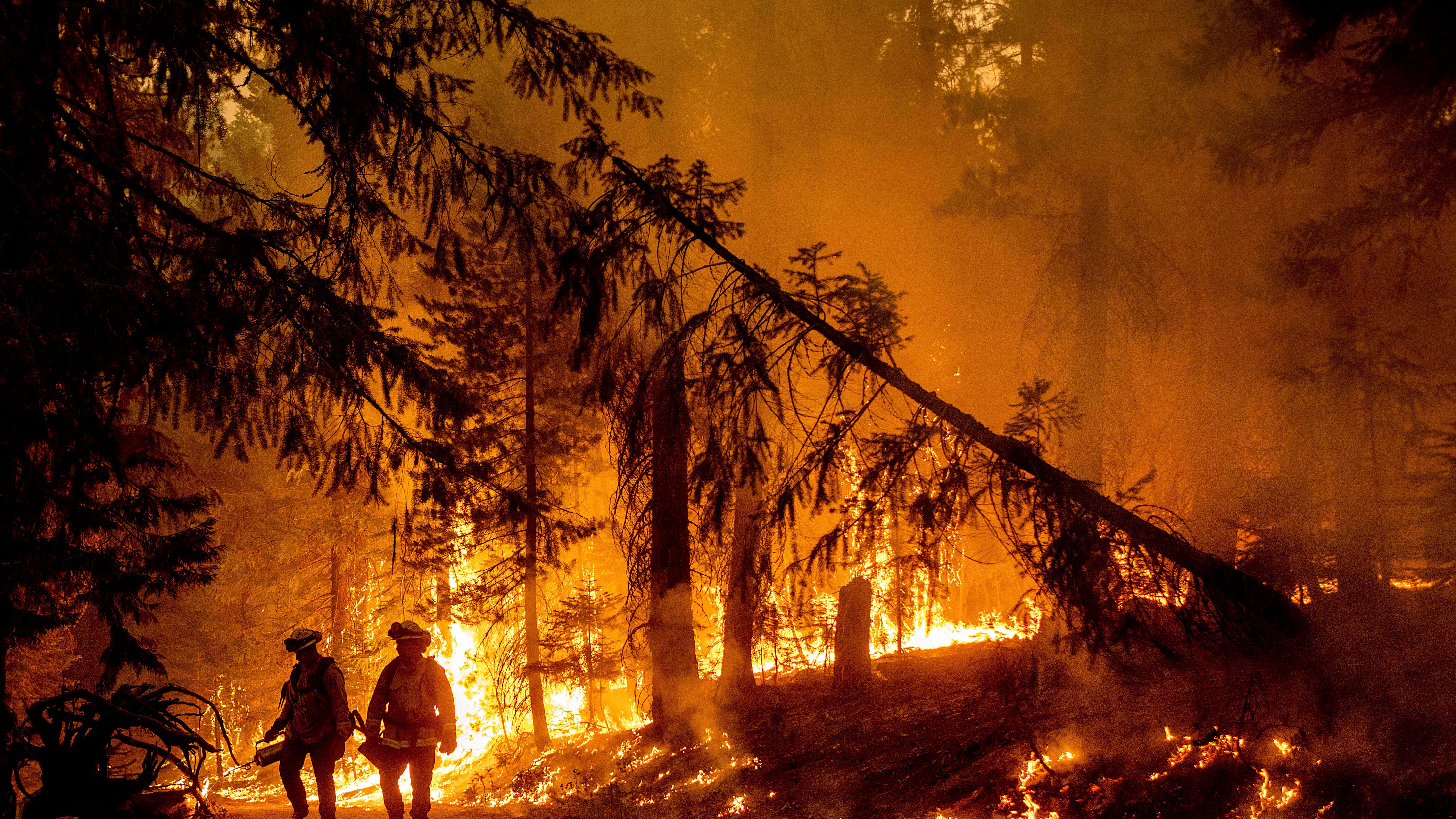 Wildfires blasting through West draw states to lend support