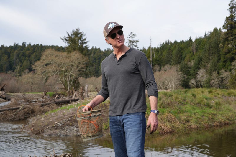 California Governor Salmon