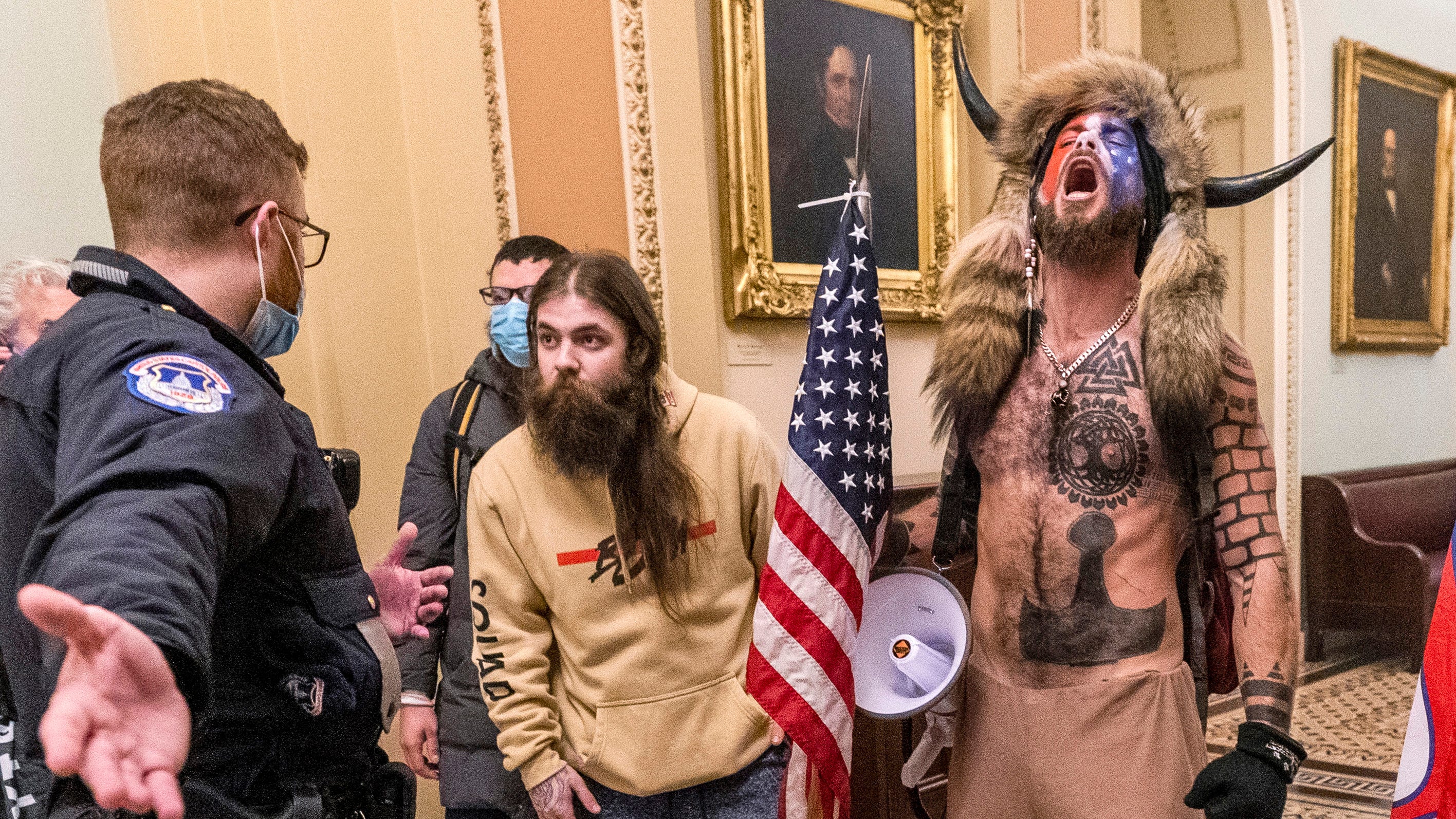 Arizona man who wore horns in riot pleads guilty to felony