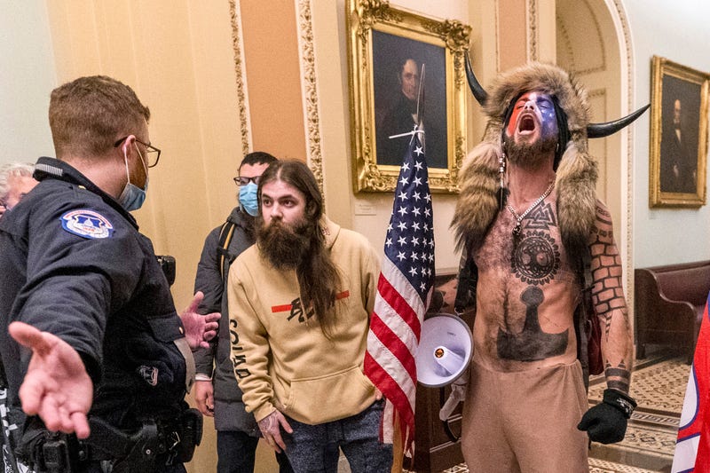 Capitol Breach Costumed Rioter