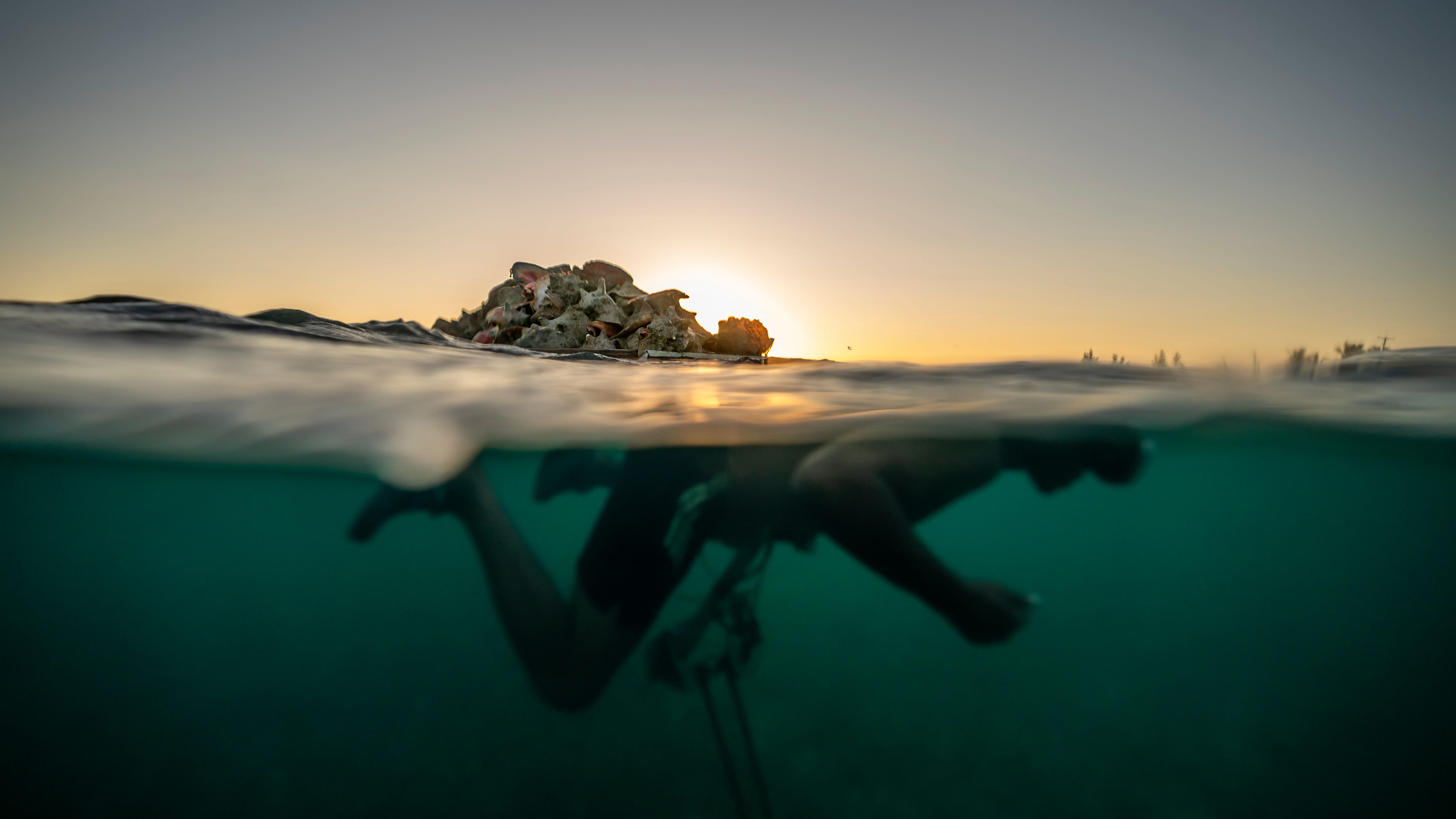 Overfishing threatens a way of life in the Bahamas
