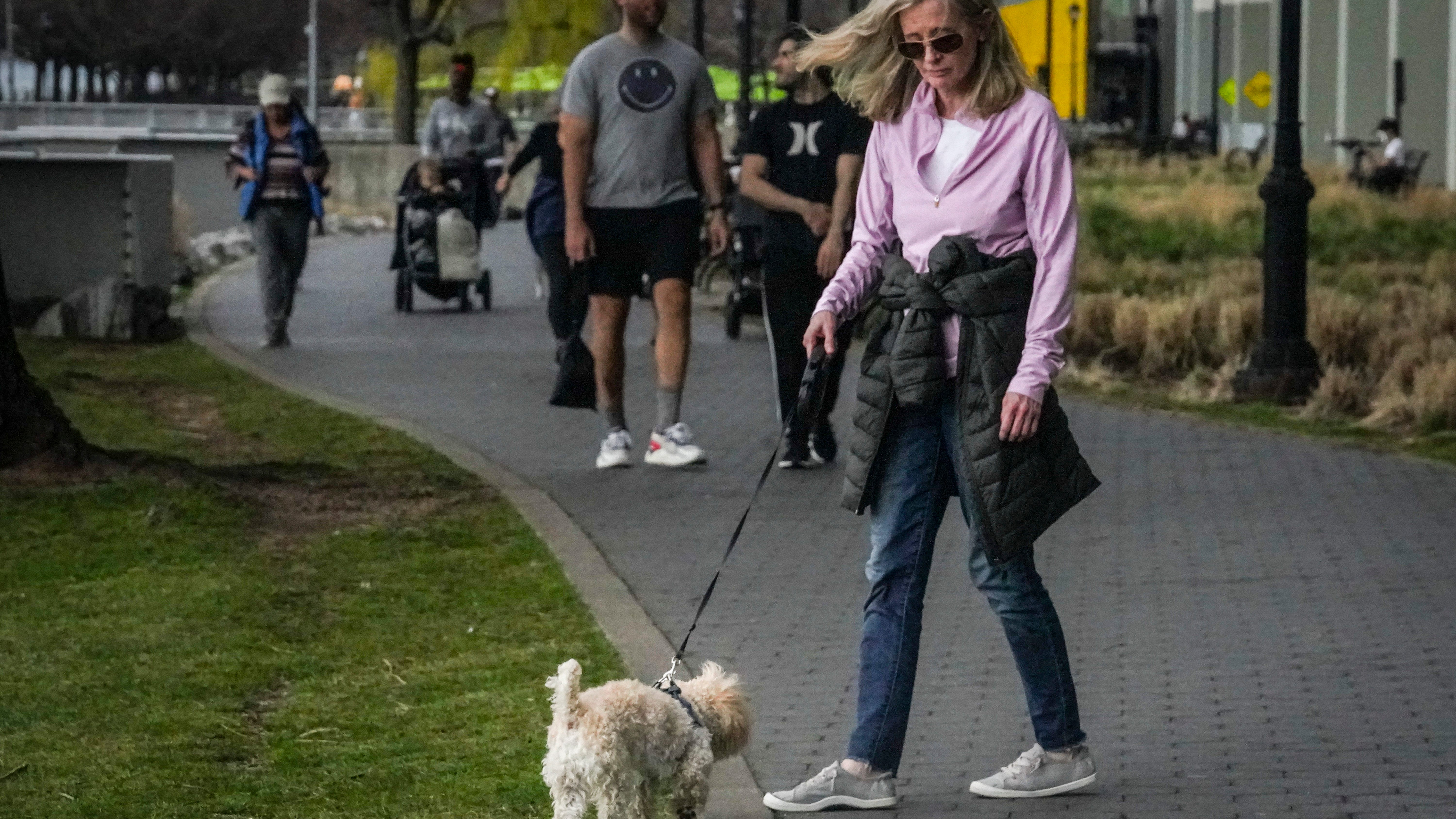 Scooby doobie don't: Discarded joints pose hazards for dogs