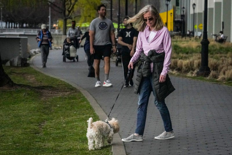 Marijuana-Dog Poisonings
