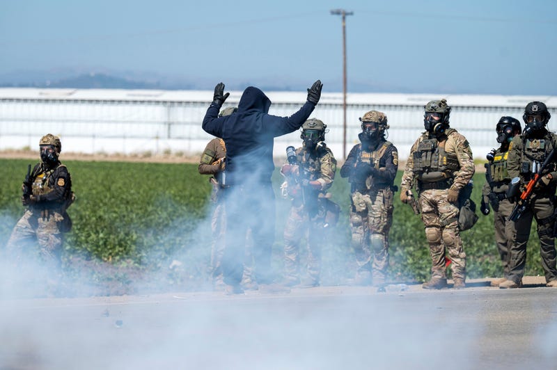 Marijuana Farm Raid