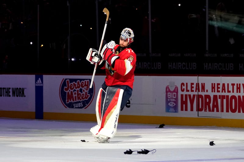Hurricanes Panthers Hockey
