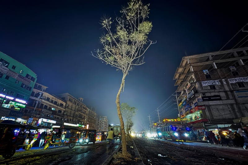 Bangladesh Election Hindu Minority