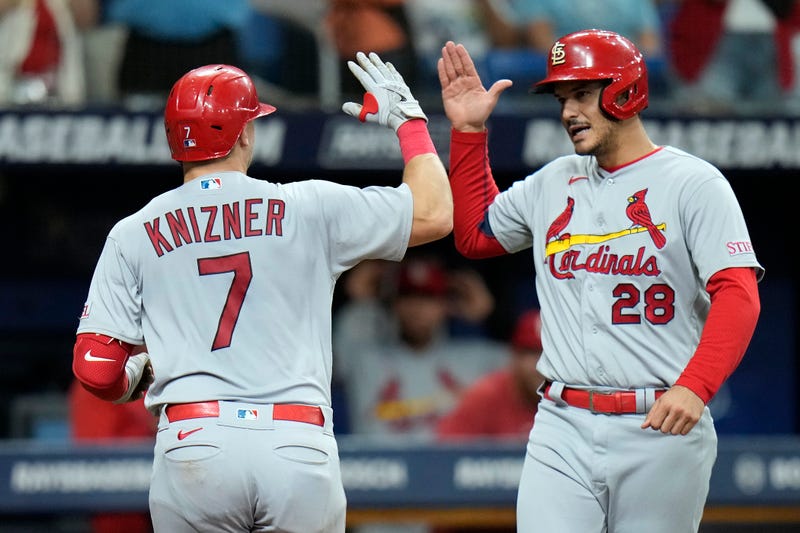 Cardinals Rays Baseball