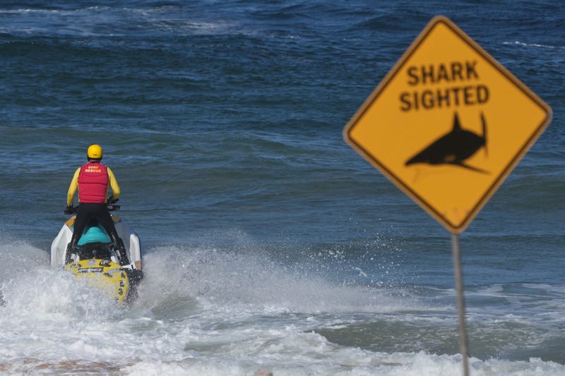 Australia Shark Attack