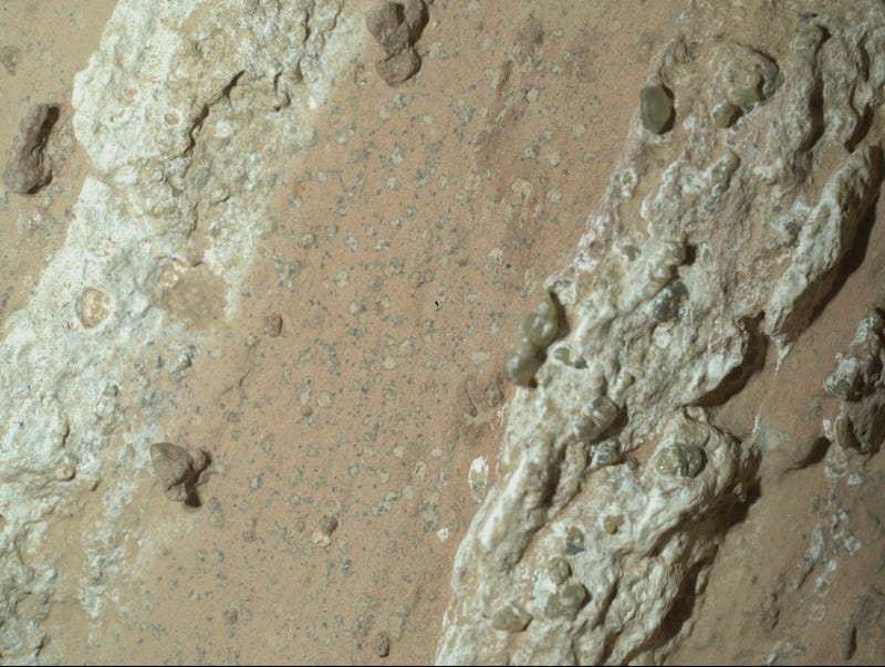 Mars Rock Life