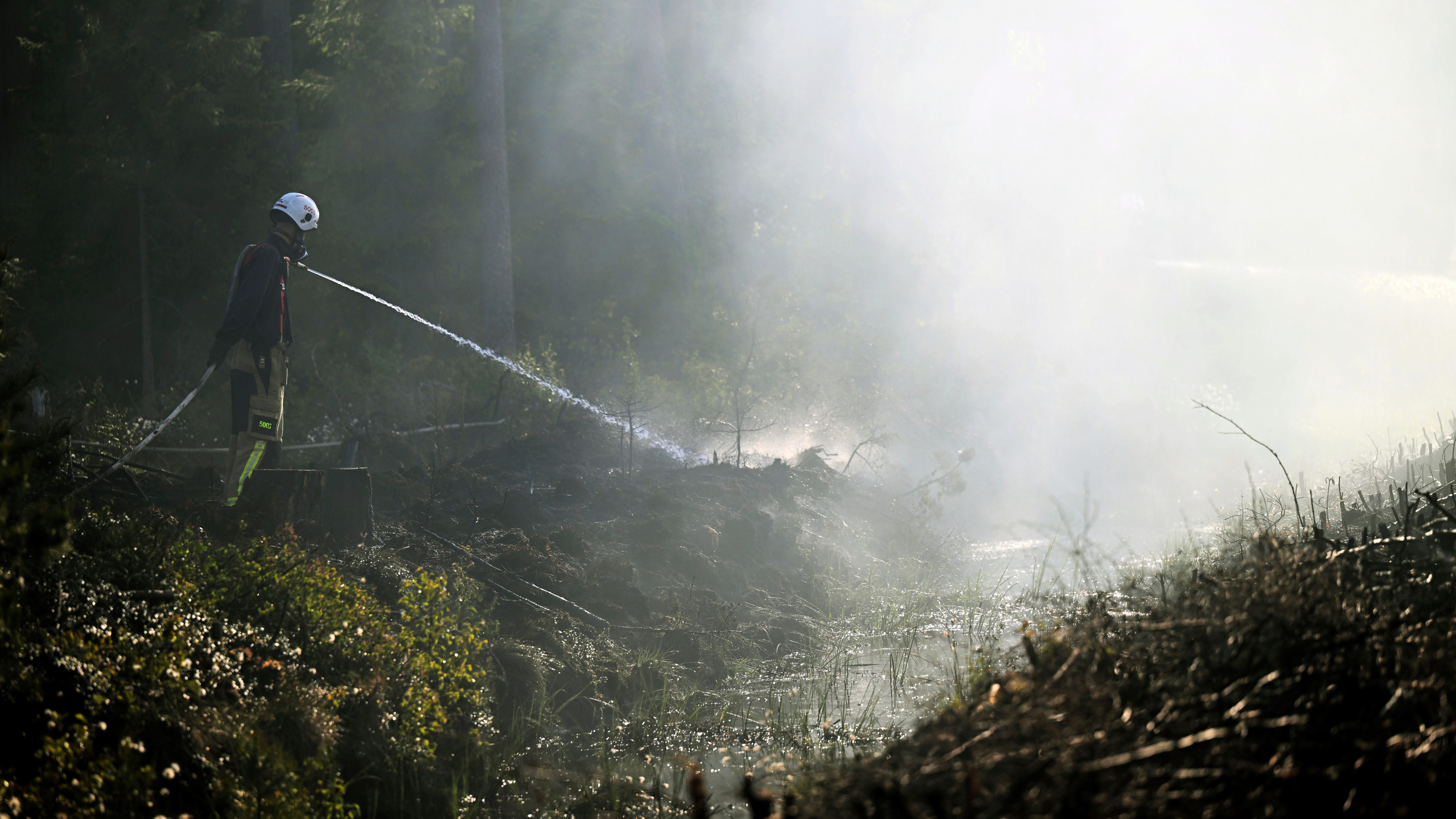 Drought and rising heat bring unusual wildfire warnings in northern Europe and Scotland