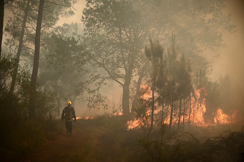 France Wildfires