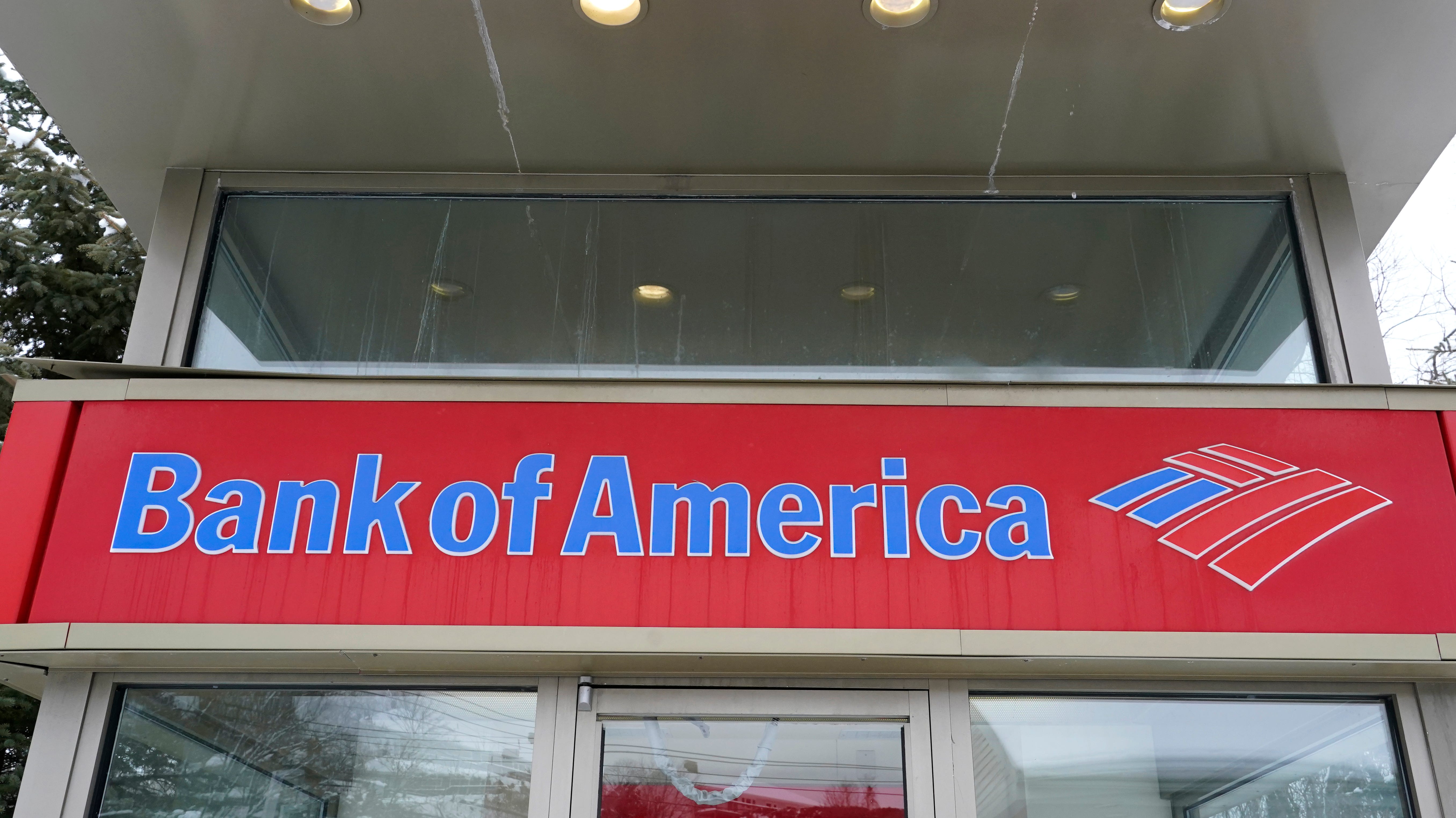 Bank of America slashes fees for account overdrafts