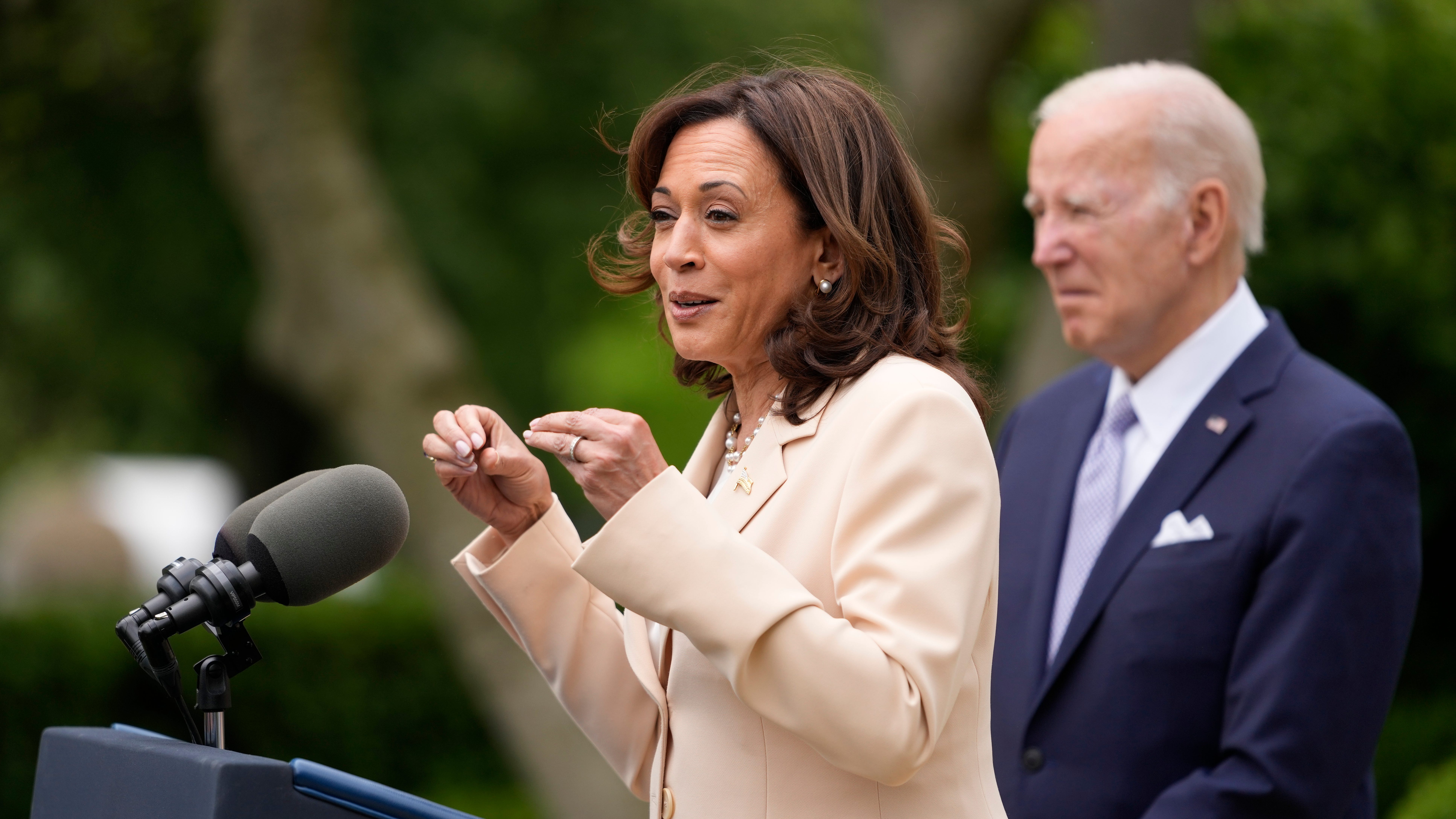 Harris meets with CEOs about artificial intelligence risks