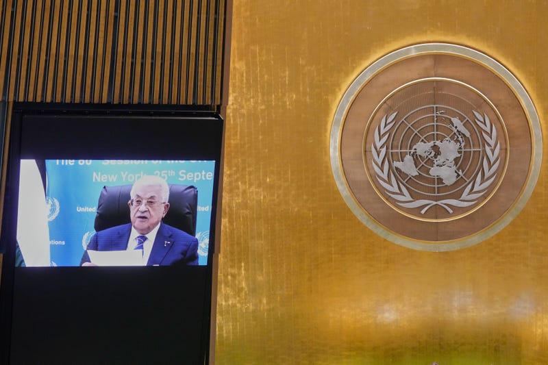 UN General Assembly