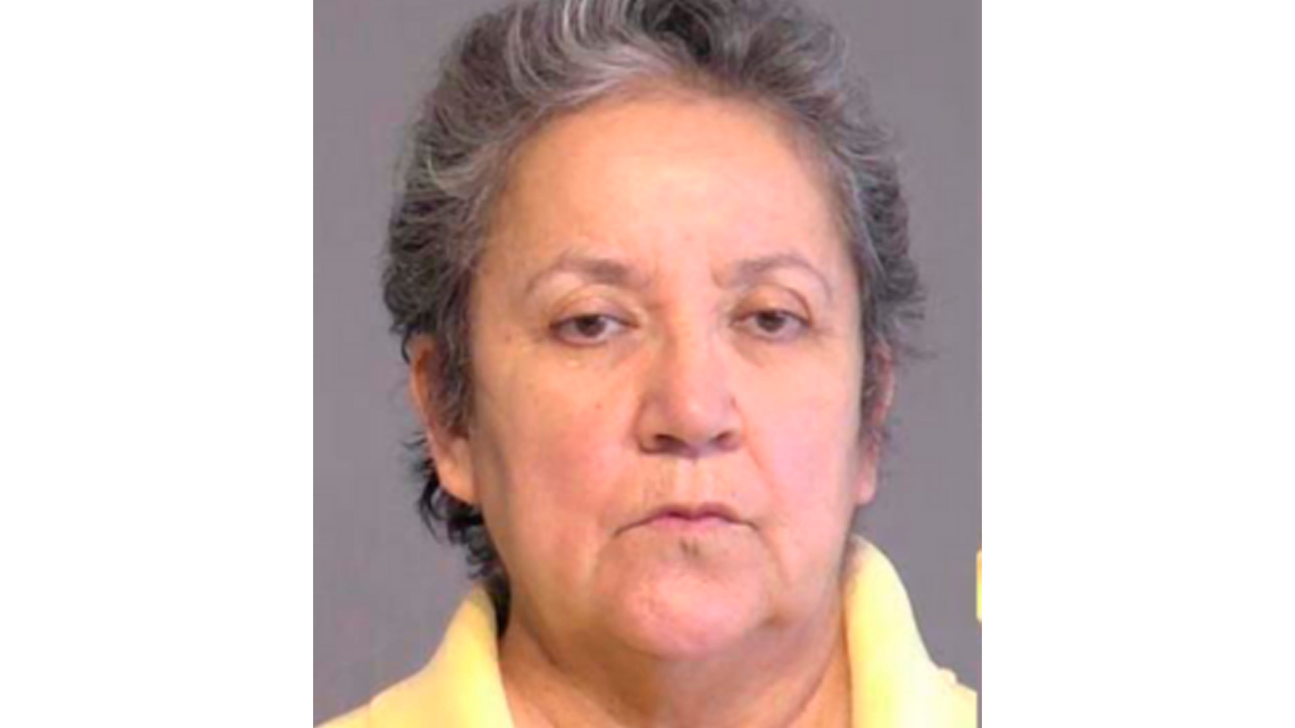 Arizona woman admits guilt in ballot collection scheme