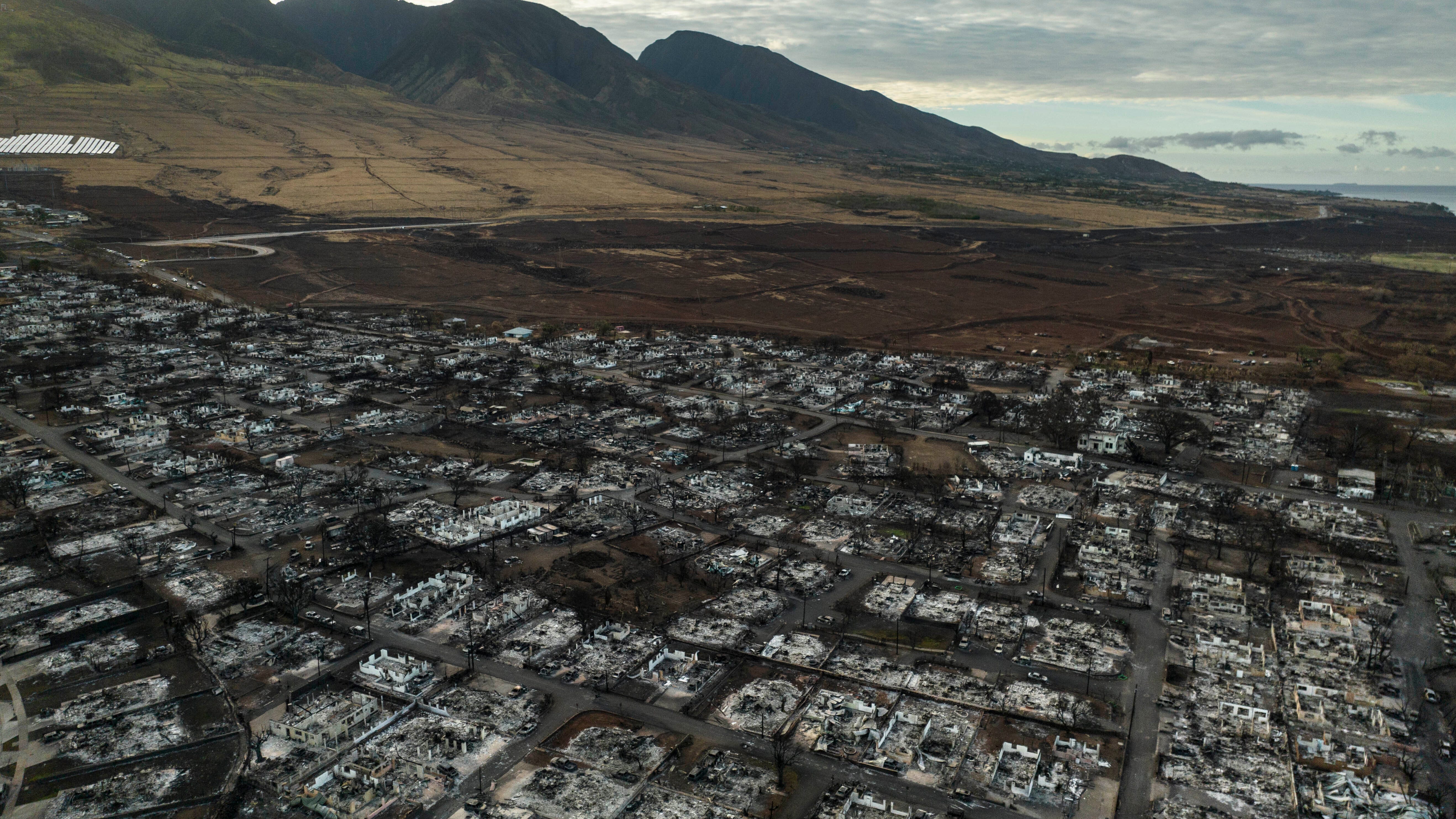 Maui's emergency services chief resigns after facing criticism for not activating sirens during fire
