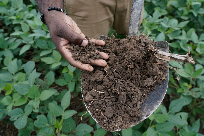Climate Soil and Carbon