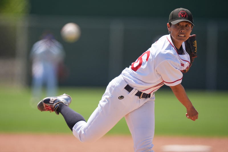 WPBL Womens Baseball